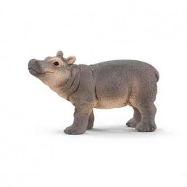 Jeune hippopotame